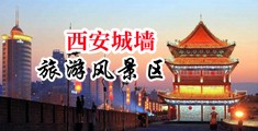 看日逼中国陕西-西安城墙旅游风景区